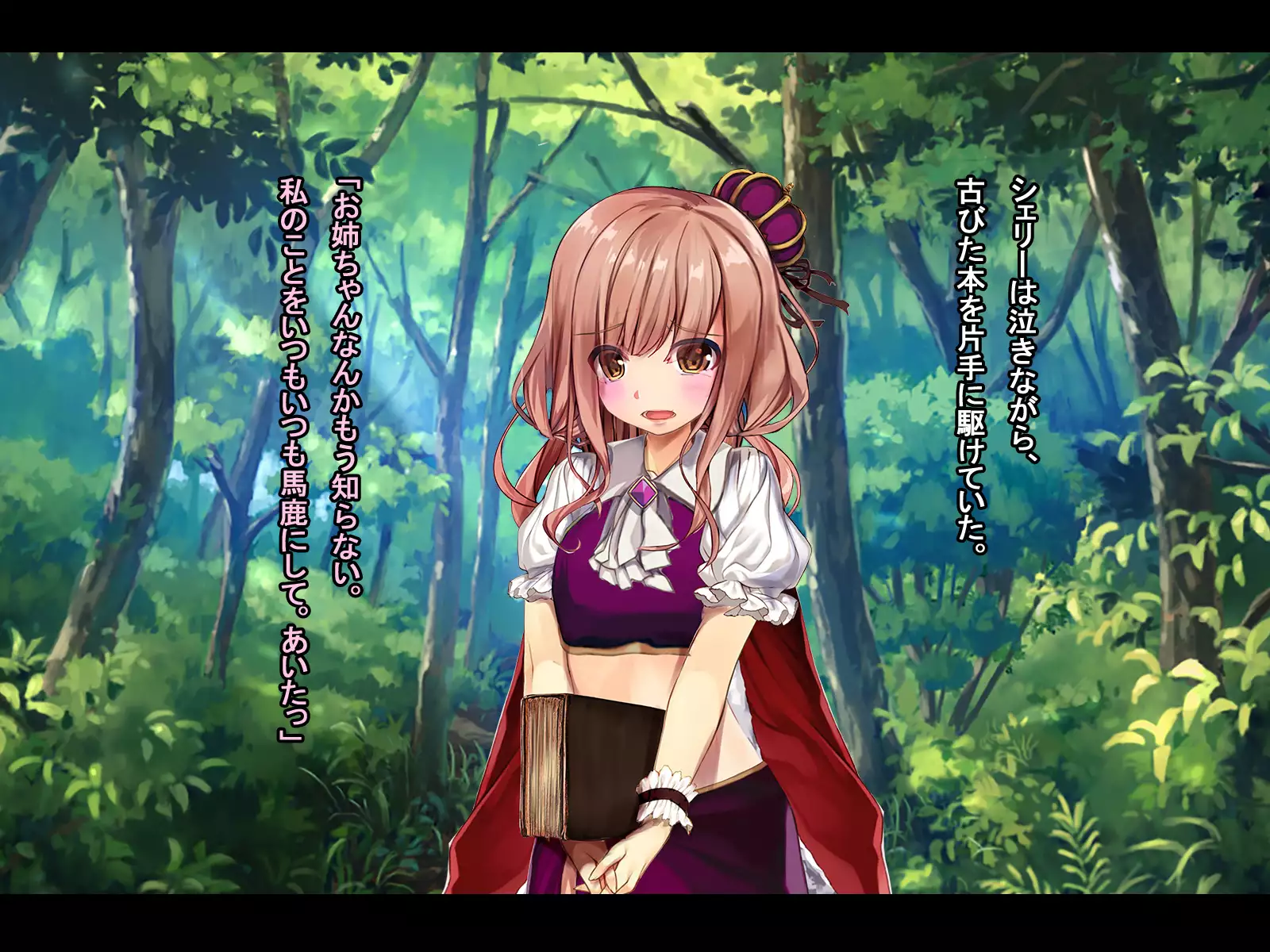 The Price of Vengeance ~Despair of a Maid and Little Sister Princess~