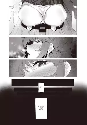 Cosmos - Like a Flower