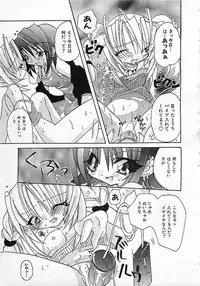 Colorful Bee 1999-10