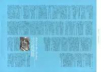 [Nishieda] Dendrobium