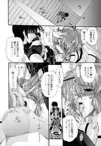 [Noraneko Nagaya] Horoama Omocha Hako