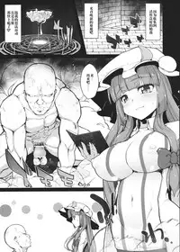 [Eclipse (Rougetu)] INURL:A (Touhou Project) [橘猫汉化组] [Chinese] [Digital]