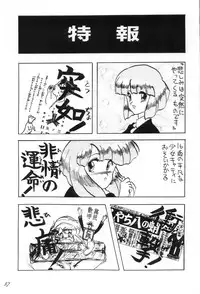 [D-Heiba] Cat's Mate RX