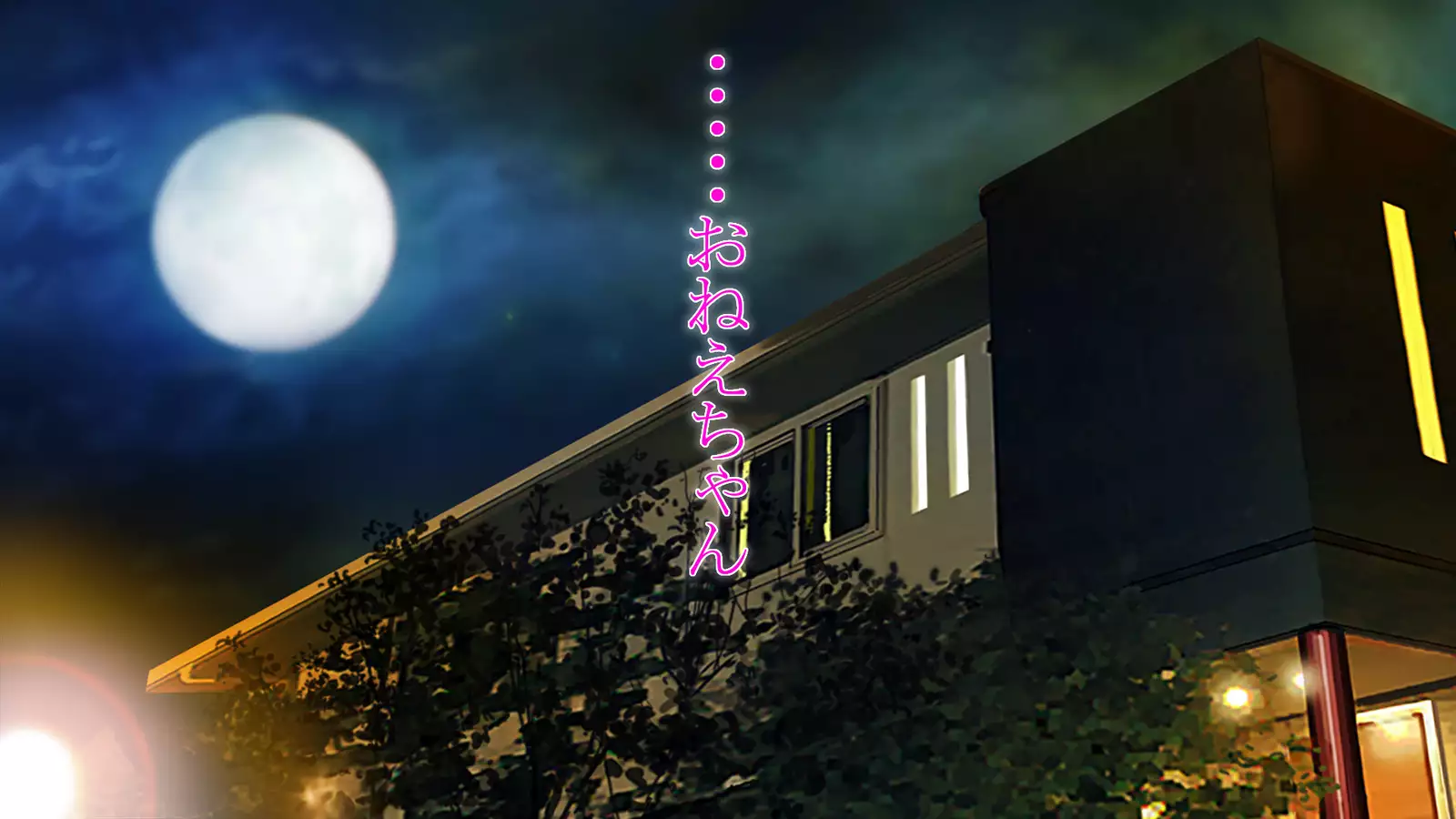 Dohentai ni sareteyuku seijyunshimai no dosukebe monogatari