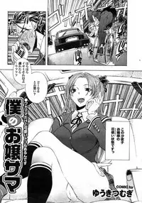 COMIC Purumelo 2007-11 Vol.11