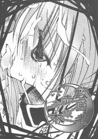 (C64) [D.N.A.Lab. (Miyasu Risa)] Yabuisya Akasaka Roppongi (Guilty Gear)