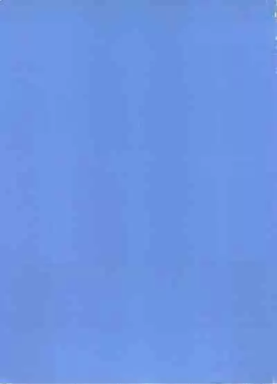 Shin Bishoujo Shoukougun 2 Mirai Hen