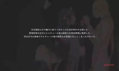 NTR Fantasy in the Sky - Raiden Shogun