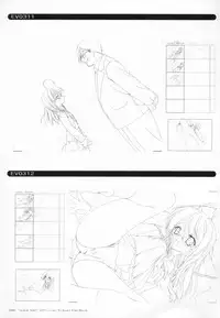 Bra-Ban Visual Fanbook