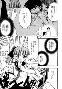 [Ie-i Tomii] Meconopsis