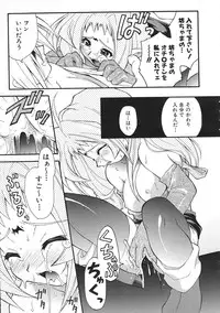 Colorful Bee 1999-07