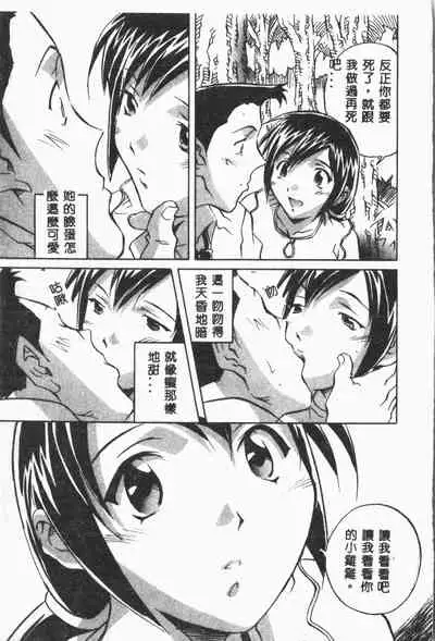 [ORIHIME] Arawa [Chinese]