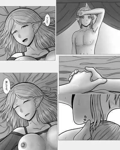 Zeruda no Densetsu: Purinsesu to Sugosu Yoru