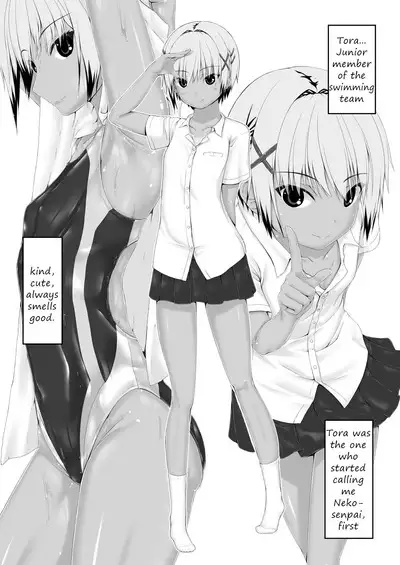 Tora x Neko Choco Ice