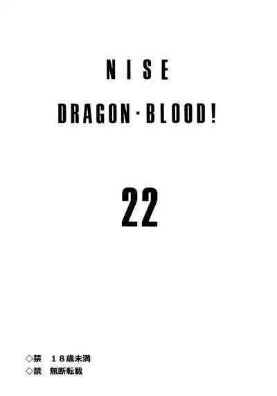 (C89) [LTM. (Taira Hajime)] Nise DRAGON BLOOD! 22 [Chinese][WindSong个人汉化]