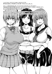 [ShimaPan (Ominaeshi)] DOA Harem Omake (Dead or Alive) [Digital]