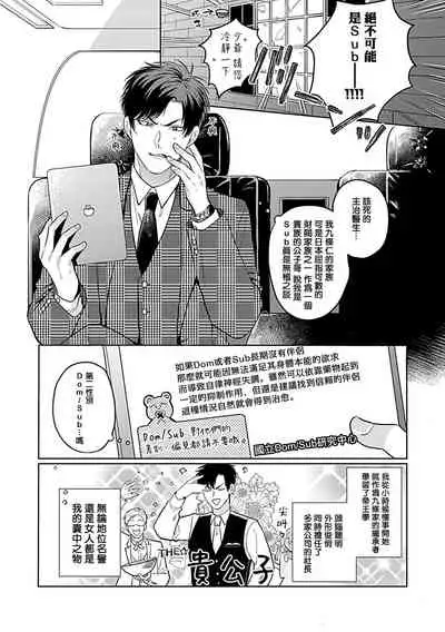 Dom/Sub Universe BL 01-03