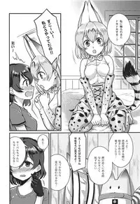 (C92) [Tendoushi (Fukuroumori)] Daisuki ni Kimatteru!! (Kemono Friends)