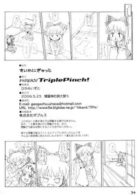 (Reitaisai 5) [Triple Pinch! (Hikami Izuto)] Suika ni Gyutto (Touhou Project)