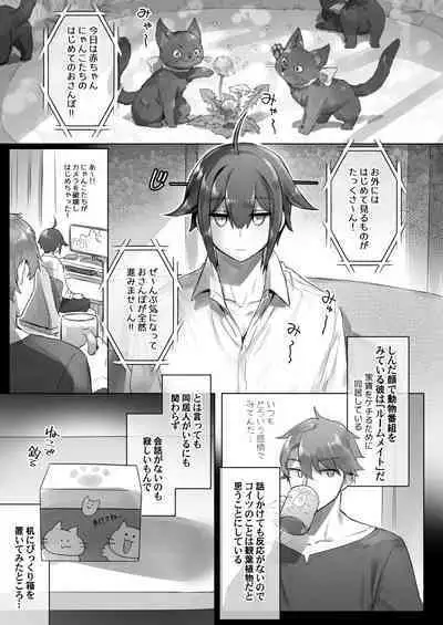 Nyotaika/TSF Summary!