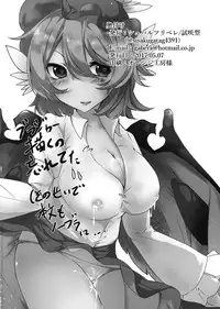 (Reitaisai 14) [Schwarz Libelle (Sisakugata)] Mitsukechatta Mono wa Shikatanai!? (Touhou Project)