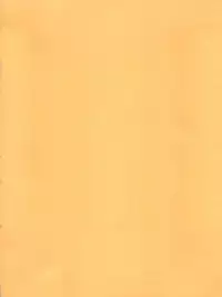 (C64) [KENIX (Ninnin)] ORANGE PIE Vol. 3 (One Piece)