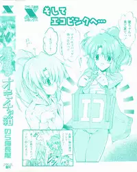 [Noraneko Nagaya] Horoama Omocha Hako