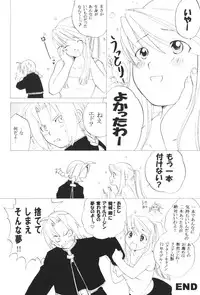 (C66) [Toko-ya (HEIZO, Kitoen)] ED x WIN (Fullmetal Alchemist)