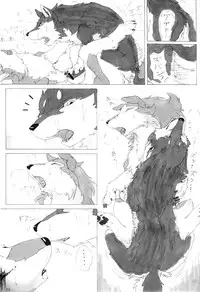 (Kansai! Kemoket 2) [KTQ48 (Various)] KTQ 5