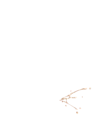 Yuuka-Chirabatta Daiyoukai no Kakera-