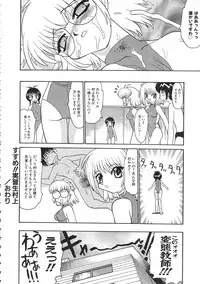 Colorful Bee 1999-07