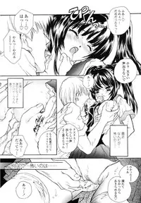 [Shimao Kazu] Flower