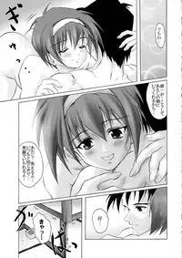 [Fullmetal Madness (Asahi)] R-Type (Kizuato)