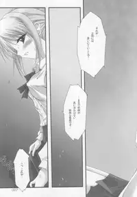 (CR35) [Hanene no Mori (Hazumi Aoi)] RedHot/BlackBeans (Fate/stay Night)