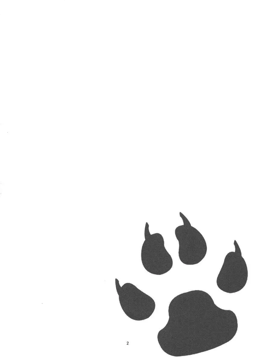 The Correct Way to Train a Puppy