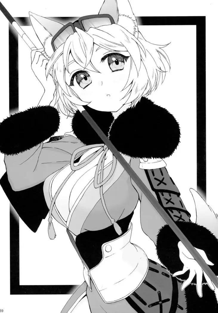 COLLECTIONS Sengoku Collection Goudou hon