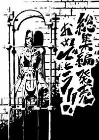 [Nyanko no Me (Tamakko)] 2nd Skin Soushuuhen (Touhou Project) [Digital]