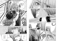 [Miyazaki Maya] Holy Knight ~Junketsu to Ai no Hazama de~ Vol. 8