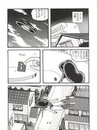 (C38) [Tropism (Tokimiran)] TROPISM 3 (Urusei Yatsura, Ranma 1/2)