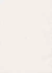 (Reitaisai SP2) [Fatboy (Geneil)] Preying Range... (Touhou Project)