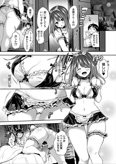 Harem Maid No Damedame Ecchi