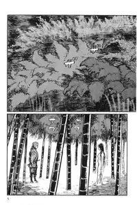 [Koike Kazuo, Kojima Goseki] Hanzou no Mon Vol.11