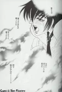 (C65) [Kita-Kasukabe Rohjinkai (Moto-ho)] Ja! Aundessen. 4 (Hellsing)