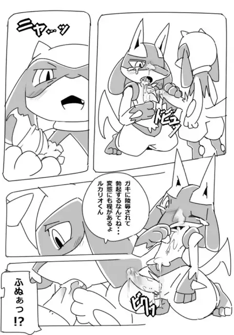 ルカリオの憂鬱