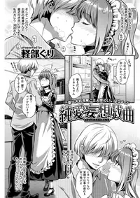 COMIC Shitsurakuten 2017-07 [Digital]