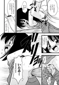 [yeahhhy tomii] Meconopsis