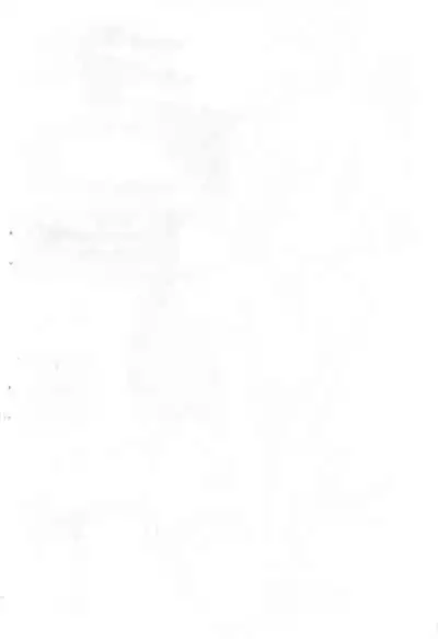 Nekomimi ga, Kakitakatta dake na Hon