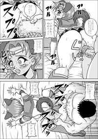 [Pyramid House] Pet wa Bishoujo Senshi (Sailor Moon) [Digital]