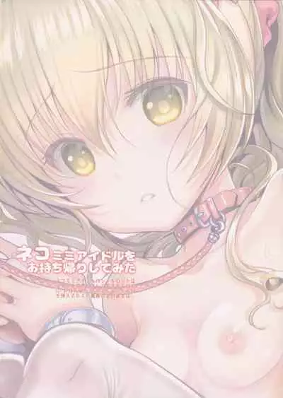 Nekomimi Idol o Omochikaeri Shite Mita