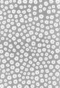 (C55) [Piyokoya (Kobayashi Hiyoko)] Cherry Girls Preparation (Card Captor Sakura)